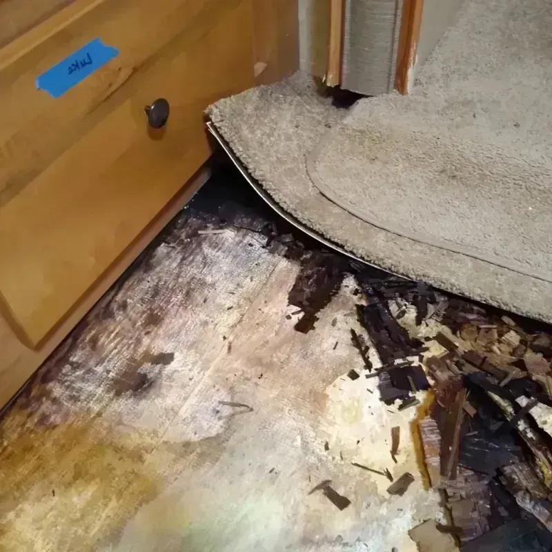 Wood Floor Water Damage in DuPage County, IL